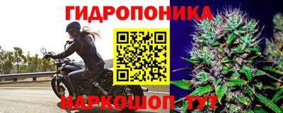 герыч Тула
