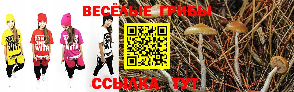 Галлюциногенные грибы Magic Shrooms  Вход с VPN  Бахчисарай 